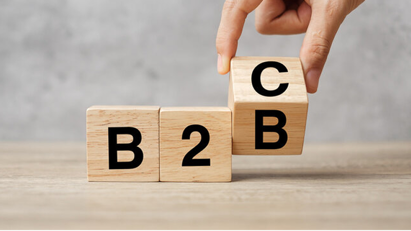Key Differences Between B2B and B2C Beta Testing Key Differences Between B2B and B2C Beta Testing